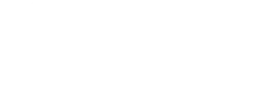 Nova Caxias UP — Direcional