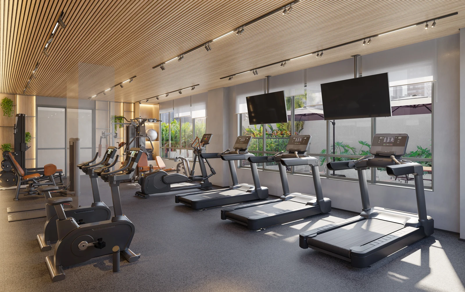 Fitness · perspectiva ilustrativa