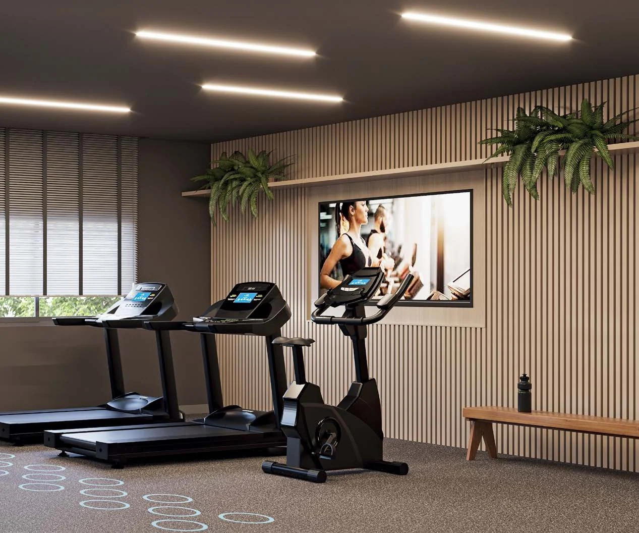 Fitness