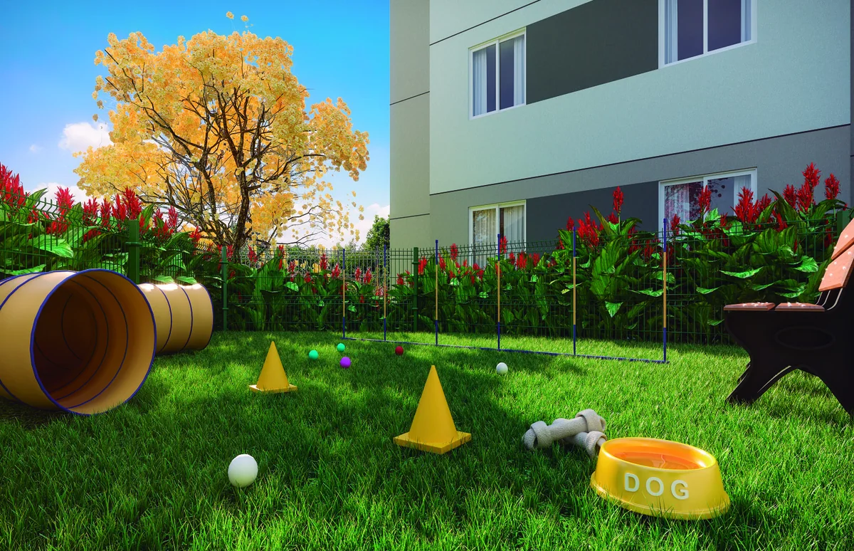 Pet place — perspectiva ilustrativa
