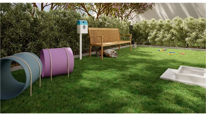 Grand Quartier — Pet place · perspectiva ilustrativa