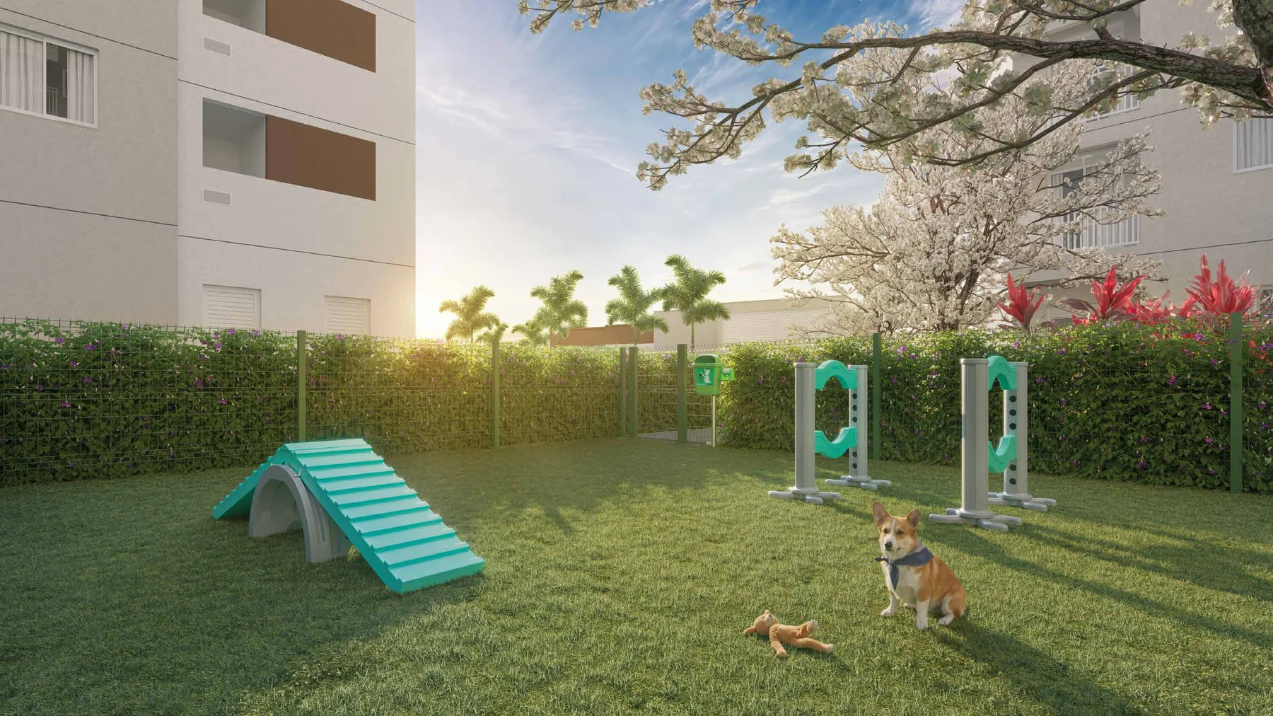 Pet place · Nova Leopoldina