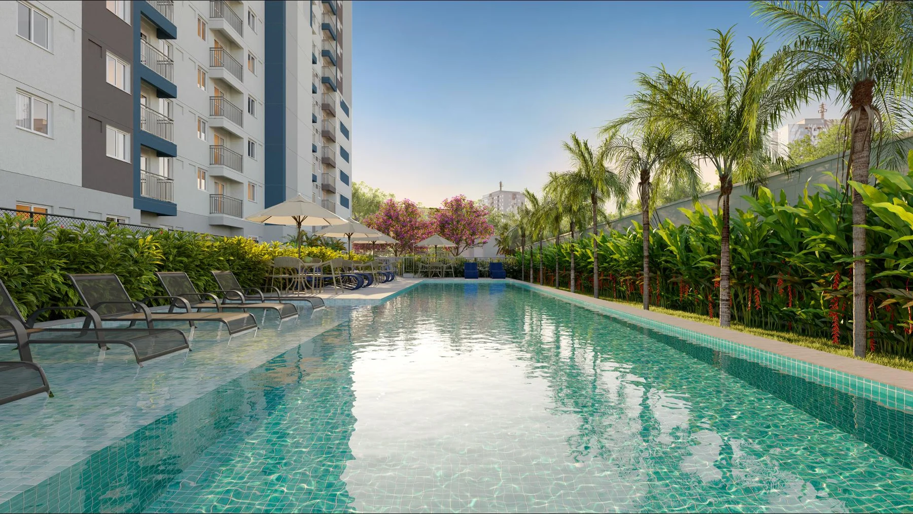 Piscina · Nova Norte Raízes