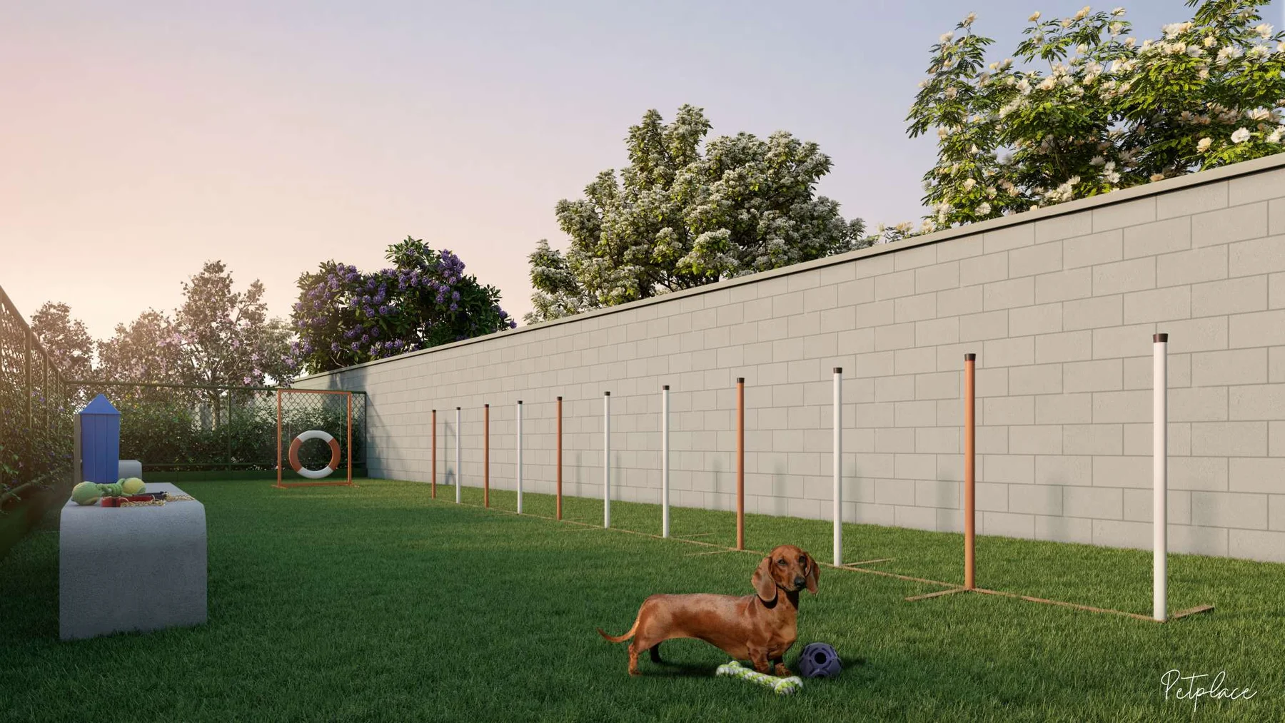 Pet place · Nova Norte — Samba
