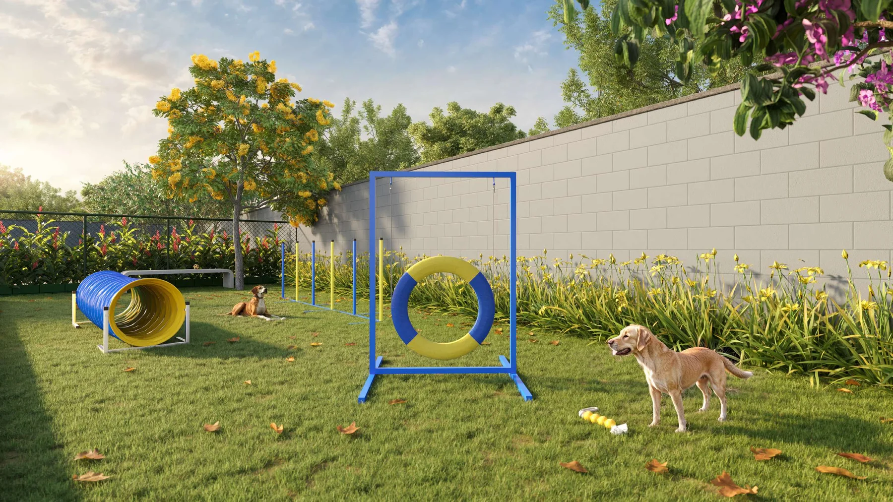 Pet place · Nova Olaria